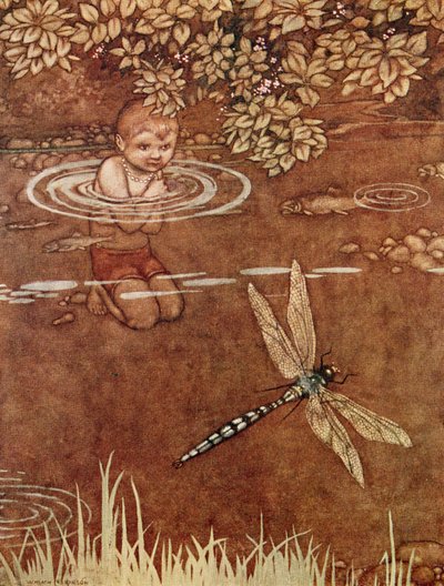 Estaba un poco presumido por sus bonitos colores y sus grandes alas de William Heath Robinson
